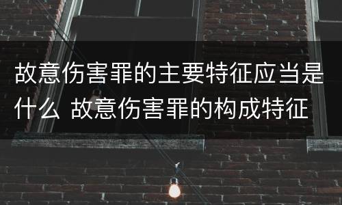 故意伤害罪的主要特征应当是什么 故意伤害罪的构成特征
