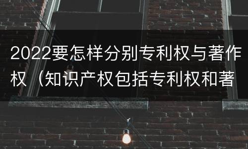 2022要怎样分别专利权与著作权（知识产权包括专利权和著作权吗）