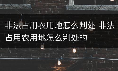 非法占用农用地怎么判处 非法占用农用地怎么判处的