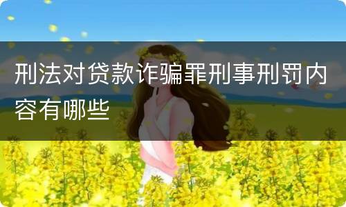 刑法对贷款诈骗罪刑事刑罚内容有哪些