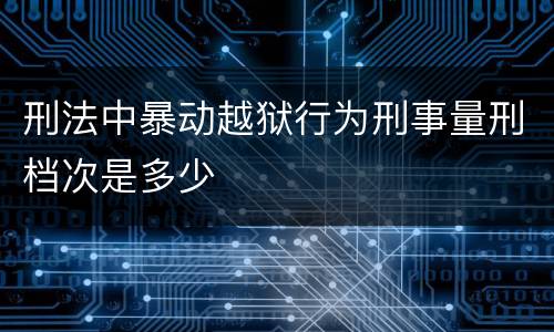 刑法中暴动越狱行为刑事量刑档次是多少