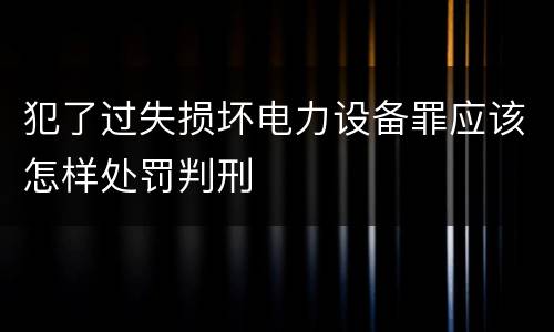 犯了过失损坏电力设备罪应该怎样处罚判刑