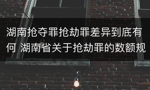 湖南抢夺罪抢劫罪差异到底有何 湖南省关于抢劫罪的数额规定