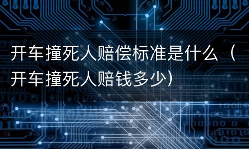 开车撞死人赔偿标准是什么（开车撞死人赔钱多少）