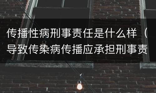 传播性病刑事责任是什么样（导致传染病传播应承担刑事责任）
