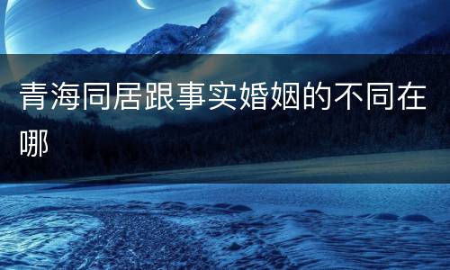 青海同居跟事实婚姻的不同在哪