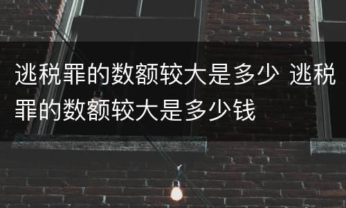 逃税罪的数额较大是多少 逃税罪的数额较大是多少钱