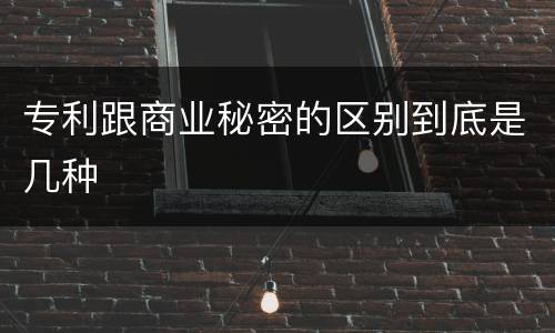 专利跟商业秘密的区别到底是几种