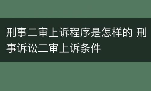 刑事二审上诉程序是怎样的 刑事诉讼二审上诉条件