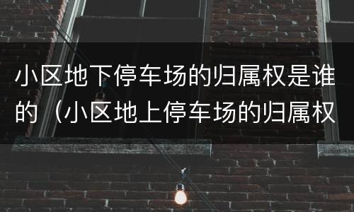 小区地下停车场的归属权是谁的（小区地上停车场的归属权）