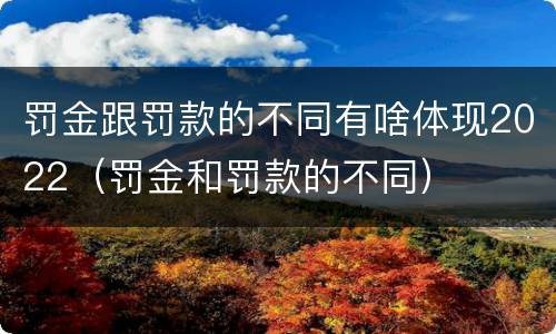罚金跟罚款的不同有啥体现2022（罚金和罚款的不同）