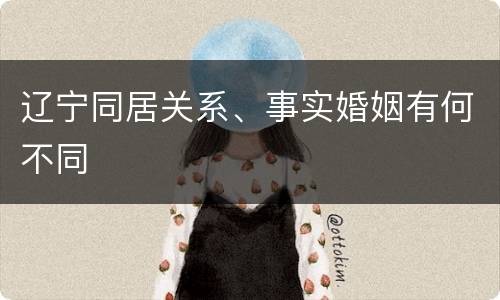 辽宁同居关系、事实婚姻有何不同