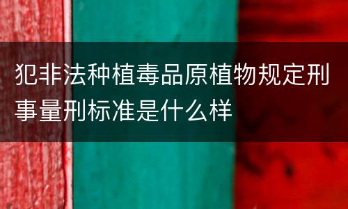 犯非法种植毒品原植物规定刑事量刑标准是什么样