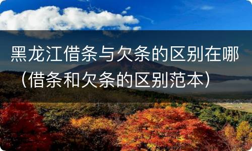 黑龙江借条与欠条的区别在哪（借条和欠条的区别范本）