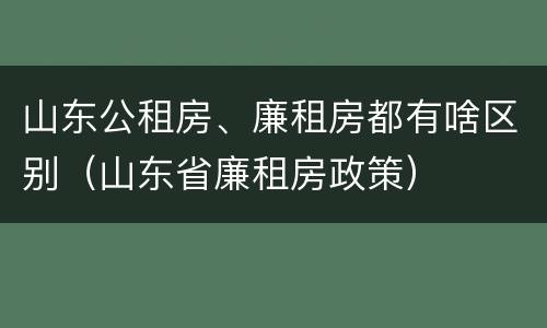 山东公租房、廉租房都有啥区别（山东省廉租房政策）