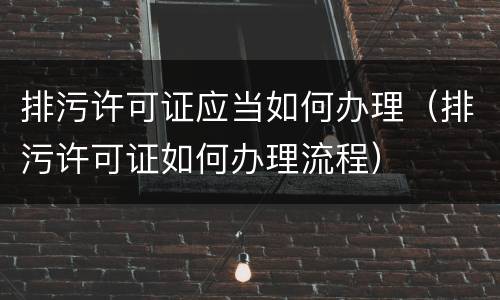 排污许可证应当如何办理（排污许可证如何办理流程）