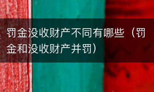 罚金没收财产不同有哪些（罚金和没收财产并罚）