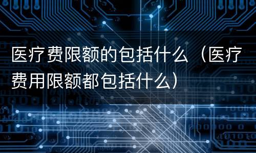 医疗费限额的包括什么（医疗费用限额都包括什么）
