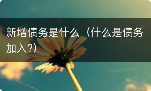 新增债务是什么（什么是债务加入?）