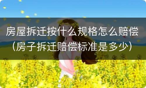 房屋拆迁按什么规格怎么赔偿（房子拆迁赔偿标准是多少）