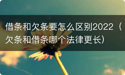 借条和欠条要怎么区别2022（欠条和借条哪个法律更长）