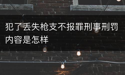 犯了丢失枪支不报罪刑事刑罚内容是怎样