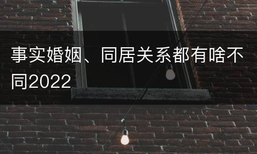事实婚姻、同居关系都有啥不同2022