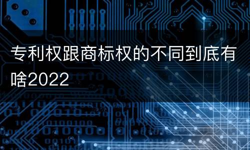 专利权跟商标权的不同到底有啥2022