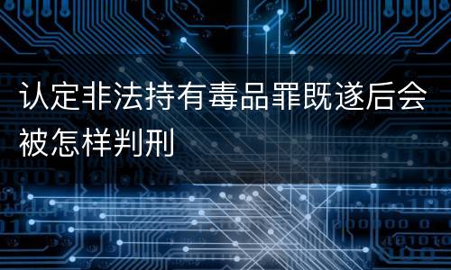 认定非法持有毒品罪既遂后会被怎样判刑