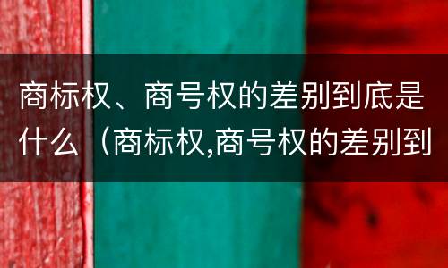 商标权、商号权的差别到底是什么（商标权,商号权的差别到底是什么意思）