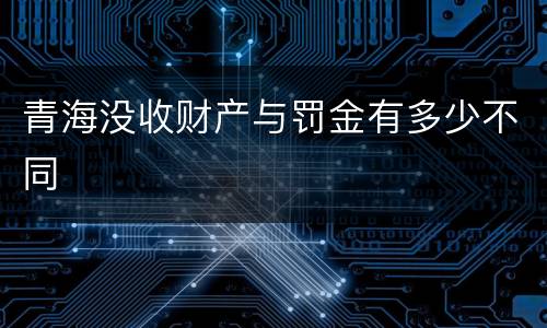 青海没收财产与罚金有多少不同