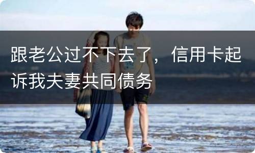 跟老公过不下去了，信用卡起诉我夫妻共同债务