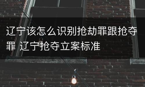 辽宁该怎么识别抢劫罪跟抢夺罪 辽宁抢夺立案标准