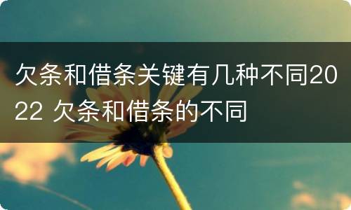 欠条和借条关键有几种不同2022 欠条和借条的不同