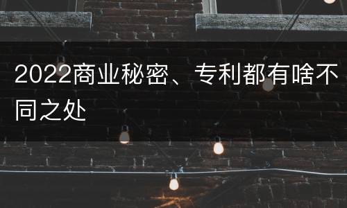 2022商业秘密、专利都有啥不同之处