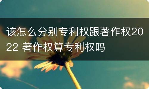 该怎么分别专利权跟著作权2022 著作权算专利权吗
