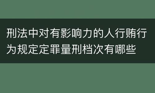 刑法中对有影响力的人行贿行为规定定罪量刑档次有哪些