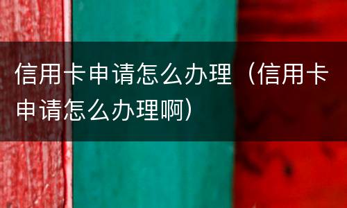 信用卡申请怎么办理（信用卡申请怎么办理啊）