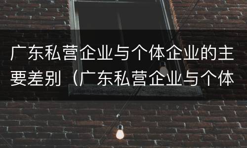 广东私营企业与个体企业的主要差别（广东私营企业与个体企业的主要差别是）