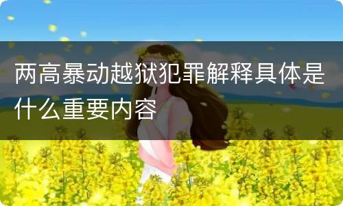 两高暴动越狱犯罪解释具体是什么重要内容