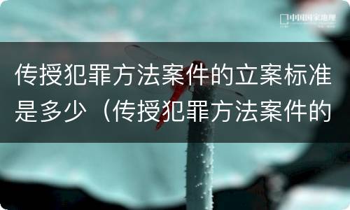 传授犯罪方法案件的立案标准是多少（传授犯罪方法案件的立案标准是多少年）