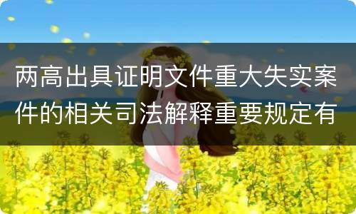 两高出具证明文件重大失实案件的相关司法解释重要规定有哪些