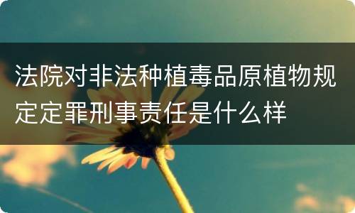 法院对非法种植毒品原植物规定定罪刑事责任是什么样