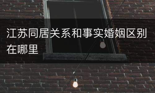 江苏同居关系和事实婚姻区别在哪里