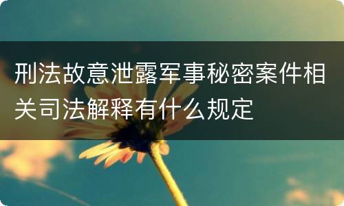 刑法故意泄露军事秘密案件相关司法解释有什么规定