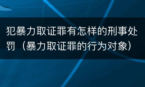 犯暴力取证罪有怎样的刑事处罚（暴力取证罪的行为对象）