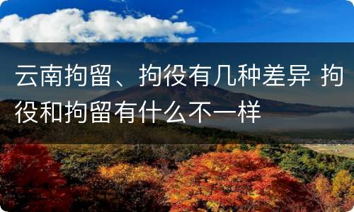 云南拘留、拘役有几种差异 拘役和拘留有什么不一样