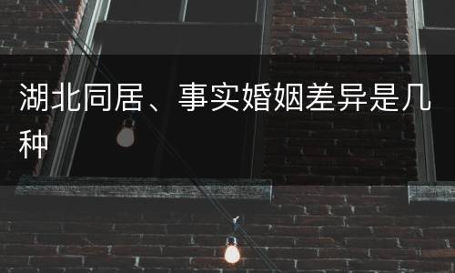 湖北同居、事实婚姻差异是几种