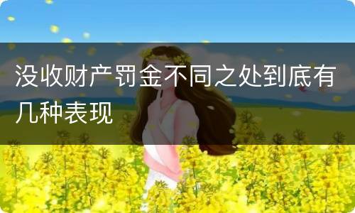 没收财产罚金不同之处到底有几种表现