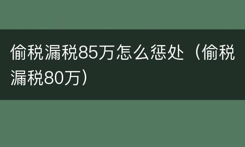 偷税漏税85万怎么惩处（偷税漏税80万）